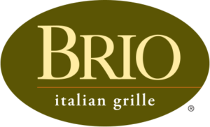 partner-brio.png